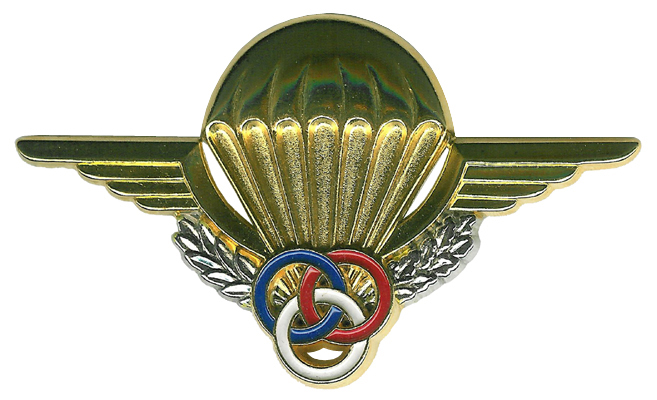 Insigne du brevet de moniteur parachutiste